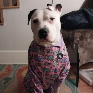 Meet your Posher, Zachary